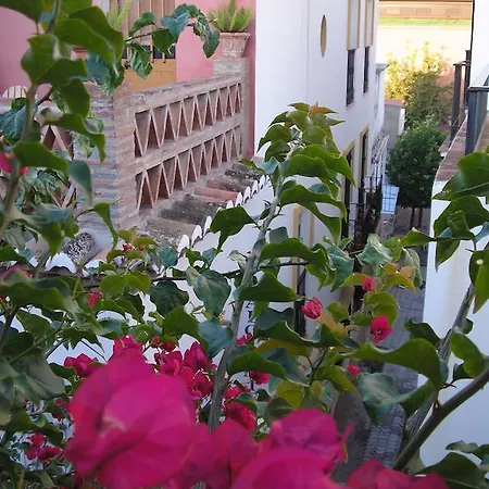 بويرتا دي أدواريس